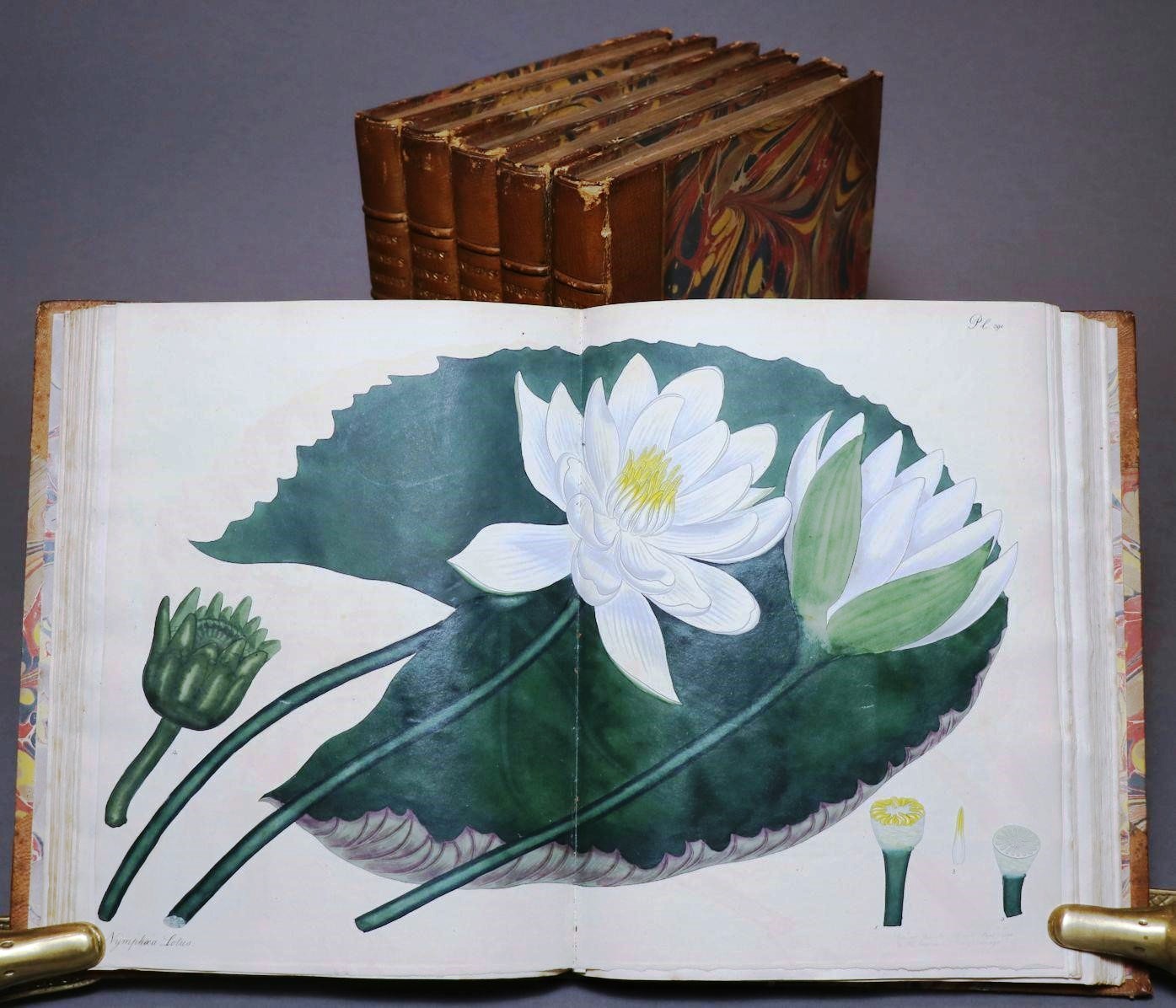 WINTER MISCELLANY 2020