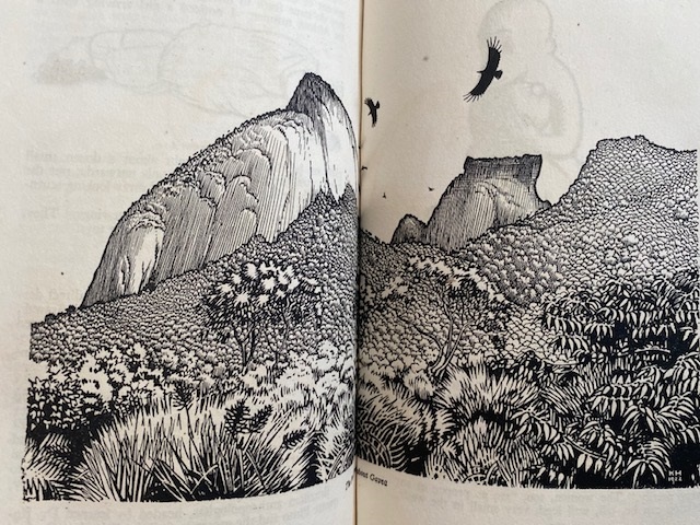 July Virtual Fair Catalog