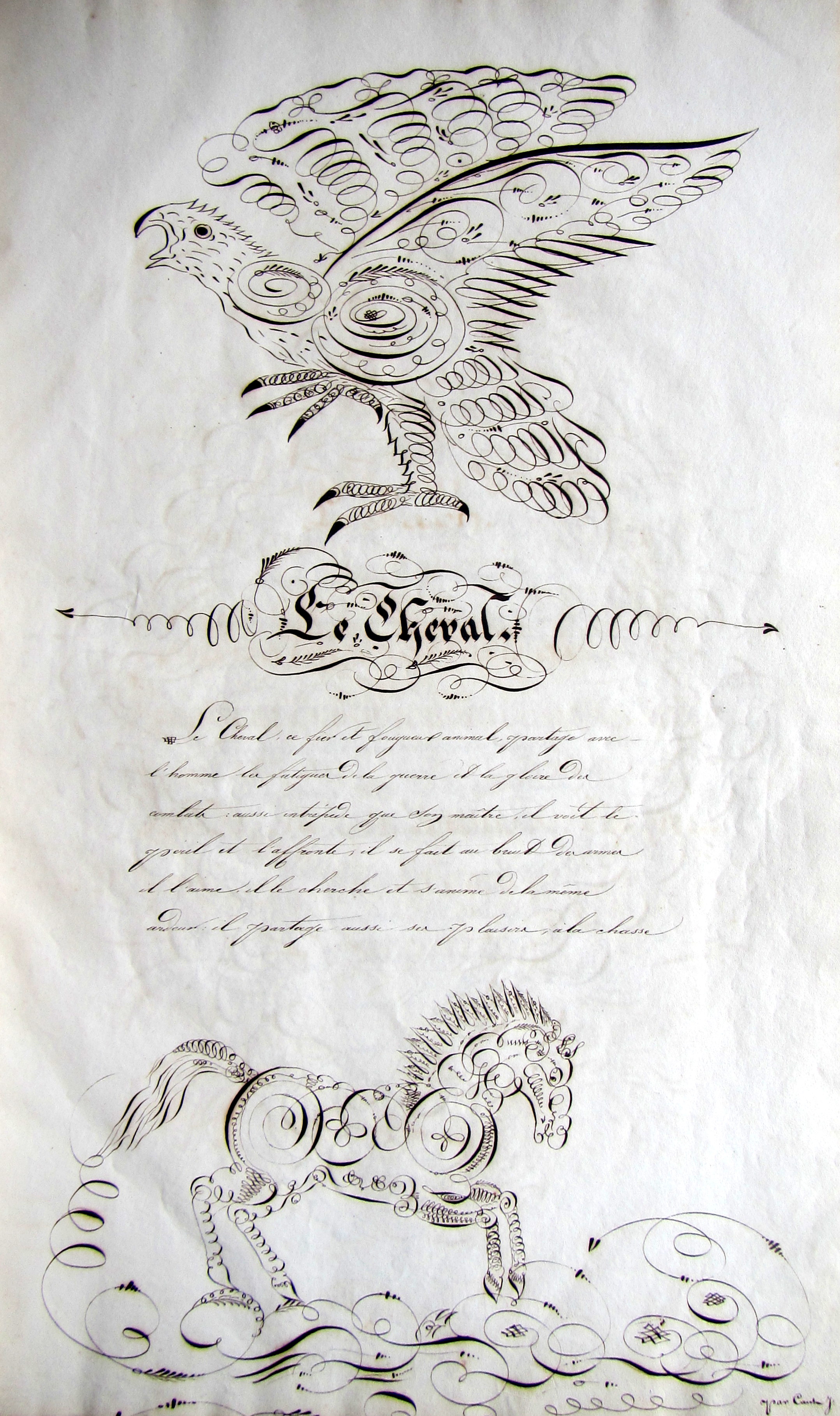 Kids, E-Catalogue 11