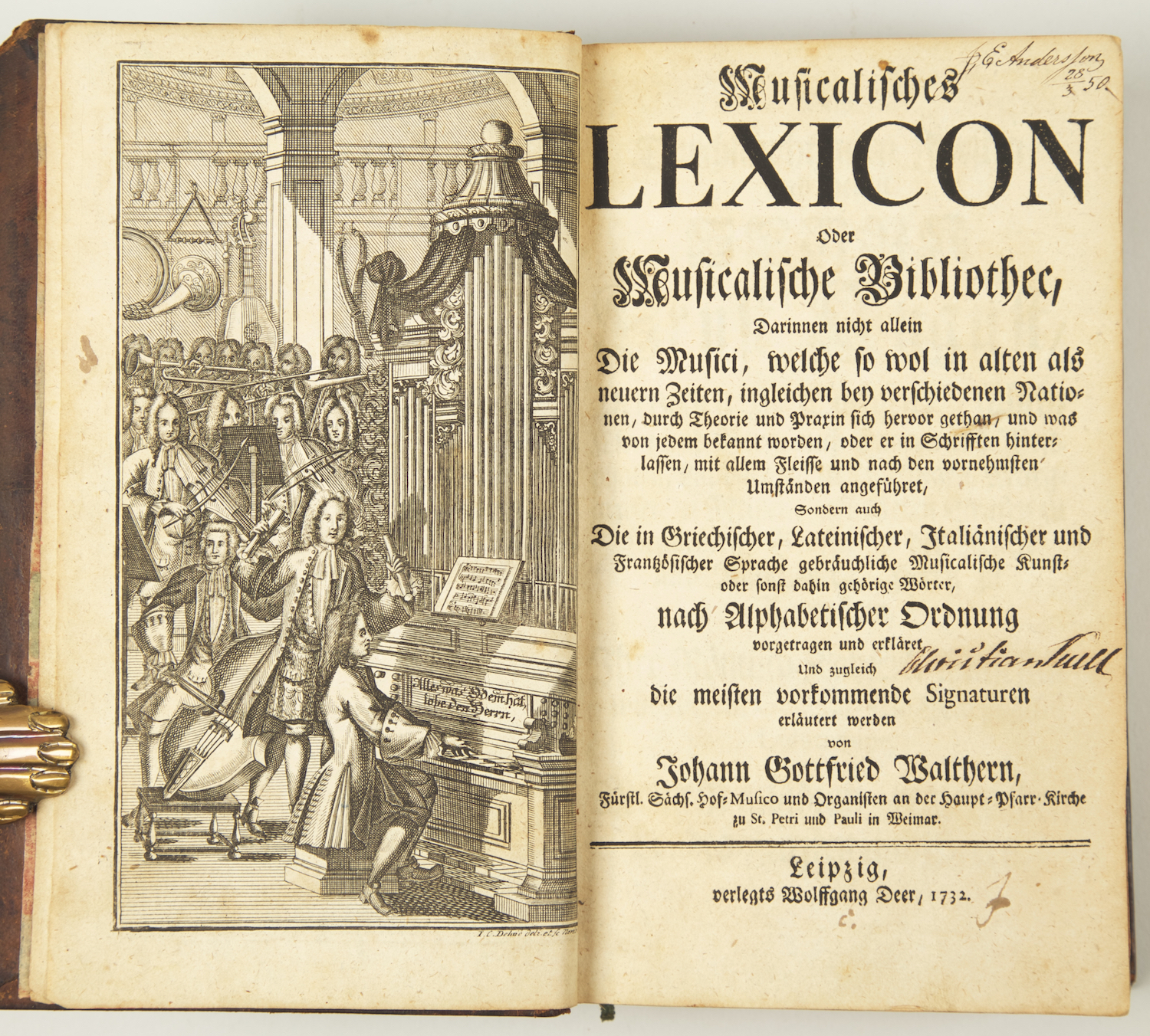 New Acquisitions Autumn 2020