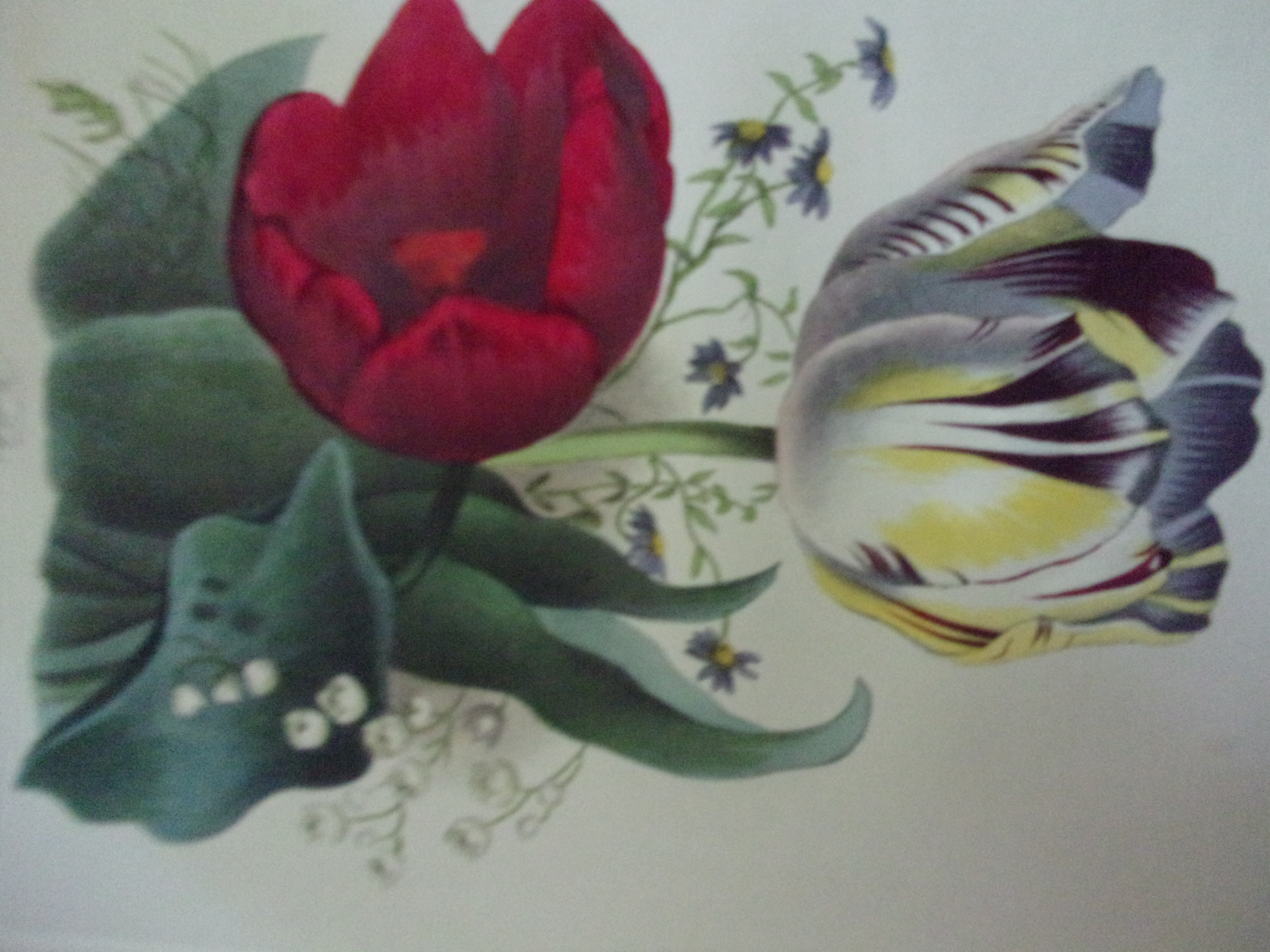 Virtual New York Book Fair