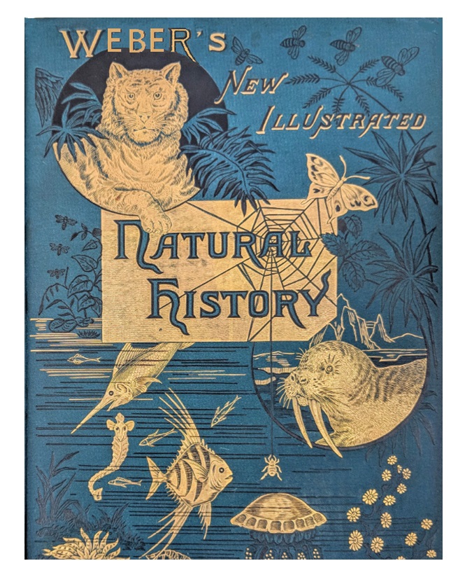 235: WEBER'S 'NEWLY ILLUSTRATED' RARE BOOKS: 35 Weiss Books