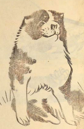 EHON- JAPANESE PICTURE BOOKS