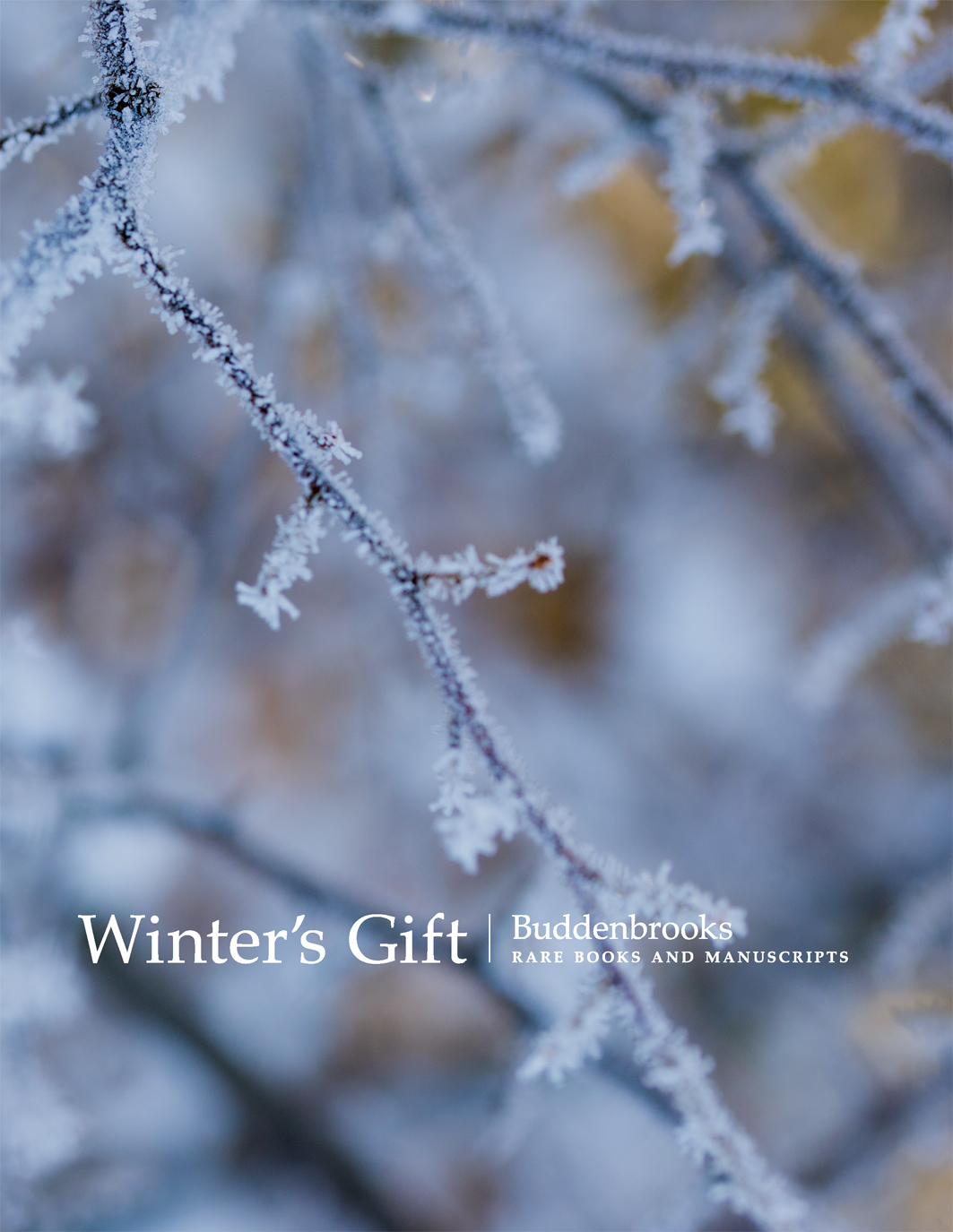 Winter’s Gifts