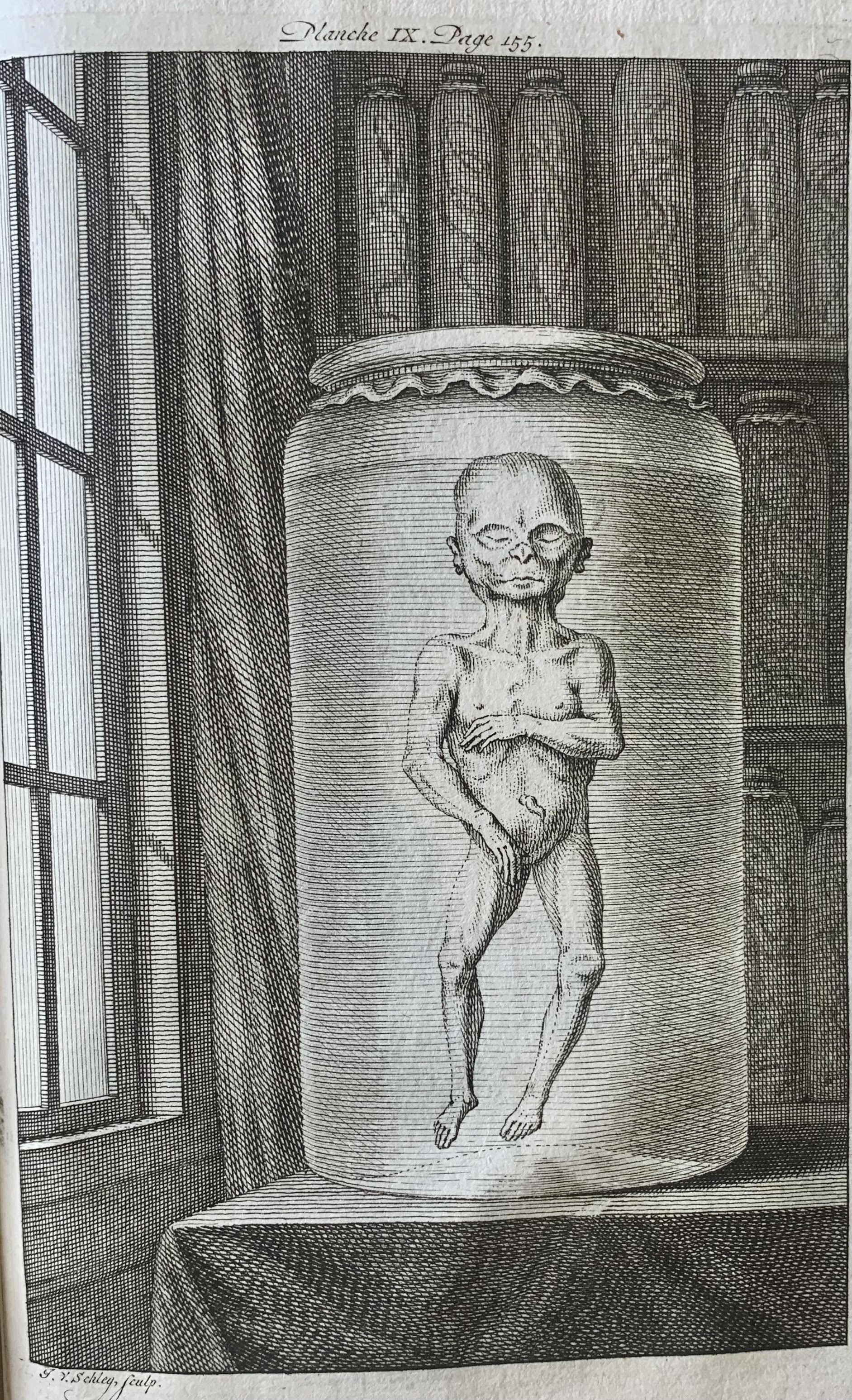 Transatlantic Virtual Book Fair