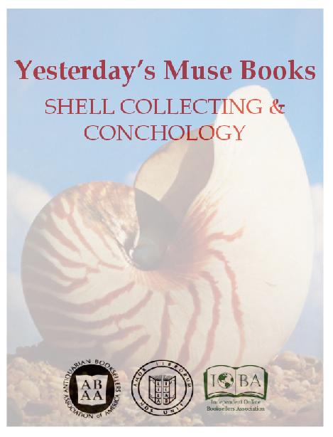 Seashells