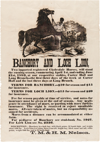 Americana e-list: A Sporting Life