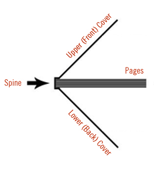 Thumbnail for Spine